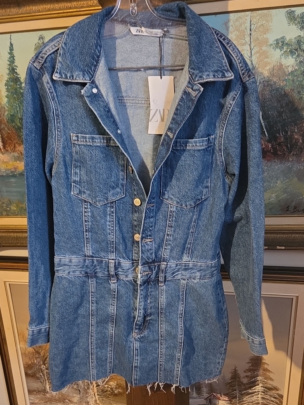 Zara Medium Blue Denim Overall Dress with Button Front